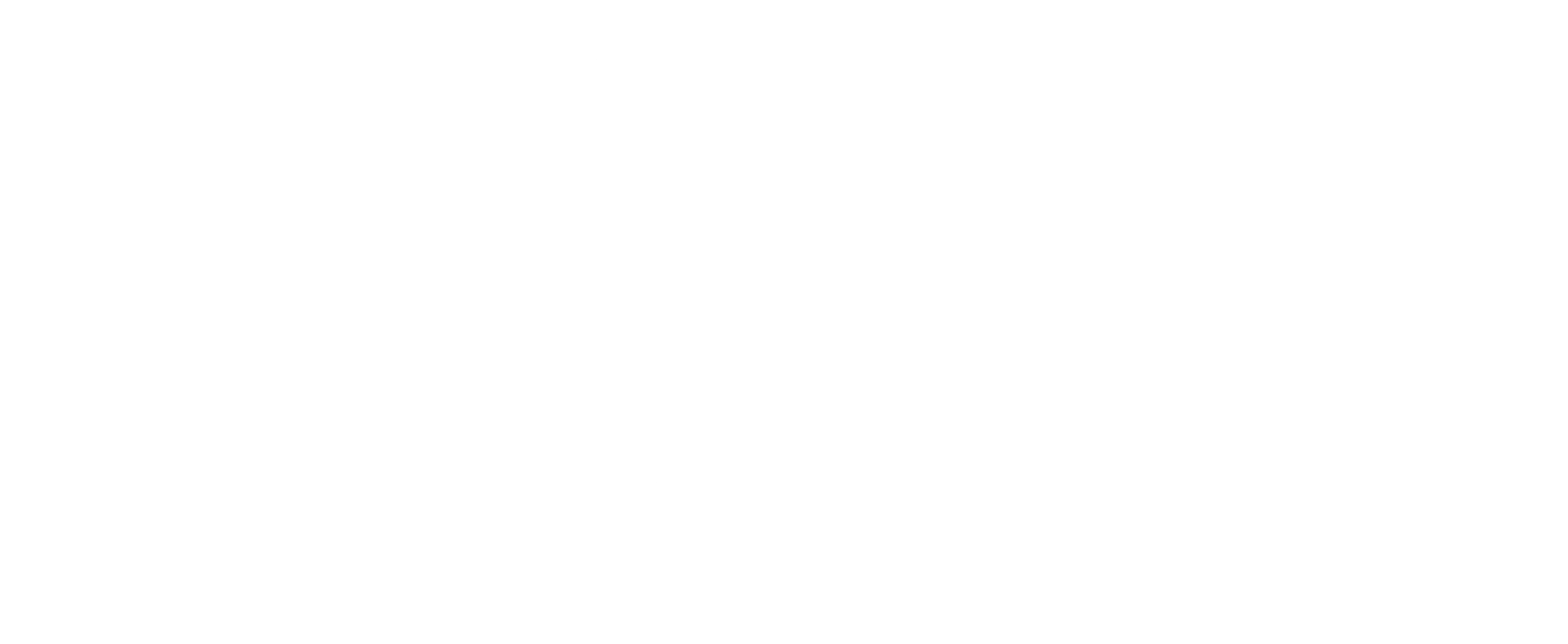 Logo Element H2